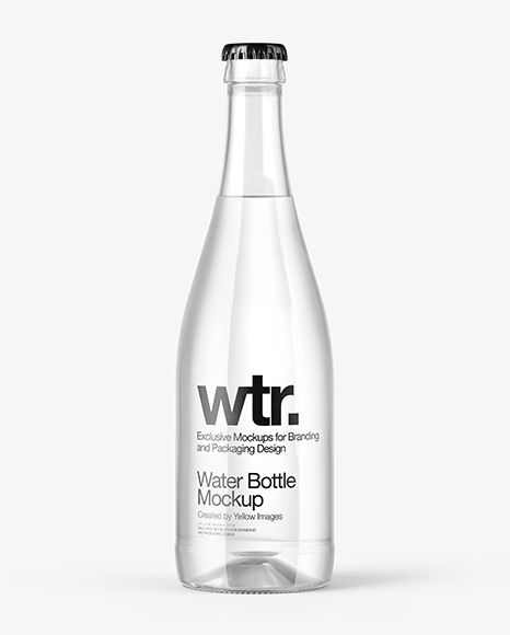 Factory wholesale flint glass brandy bottle 500ml